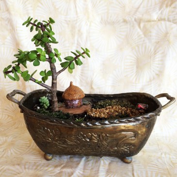Fairy garden in antique dish