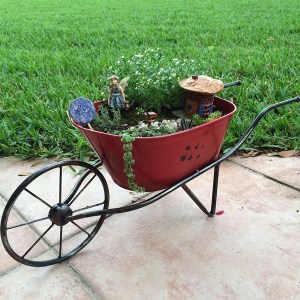 Fairy garden in wheelbarrow