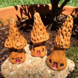 MorelMiniHouse03